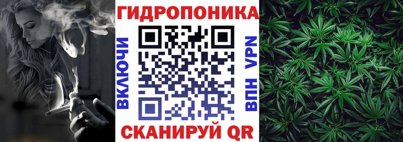 Купить закладку APVP  Псилоцибиновые грибы  Гашиш  МЕФ  Струнино