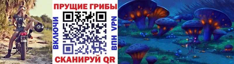 Псилоцибиновые грибы прущие грибы  Купить где  Струнино 